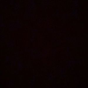 Meet your Posher, Elsa